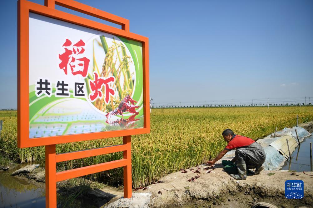 现金网打水风控